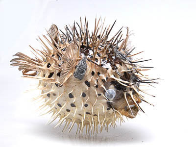 Кабинет биологии