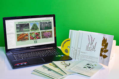 Гербарий натурально-интерактивный "Лекарственные растения"